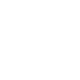 Share Icon